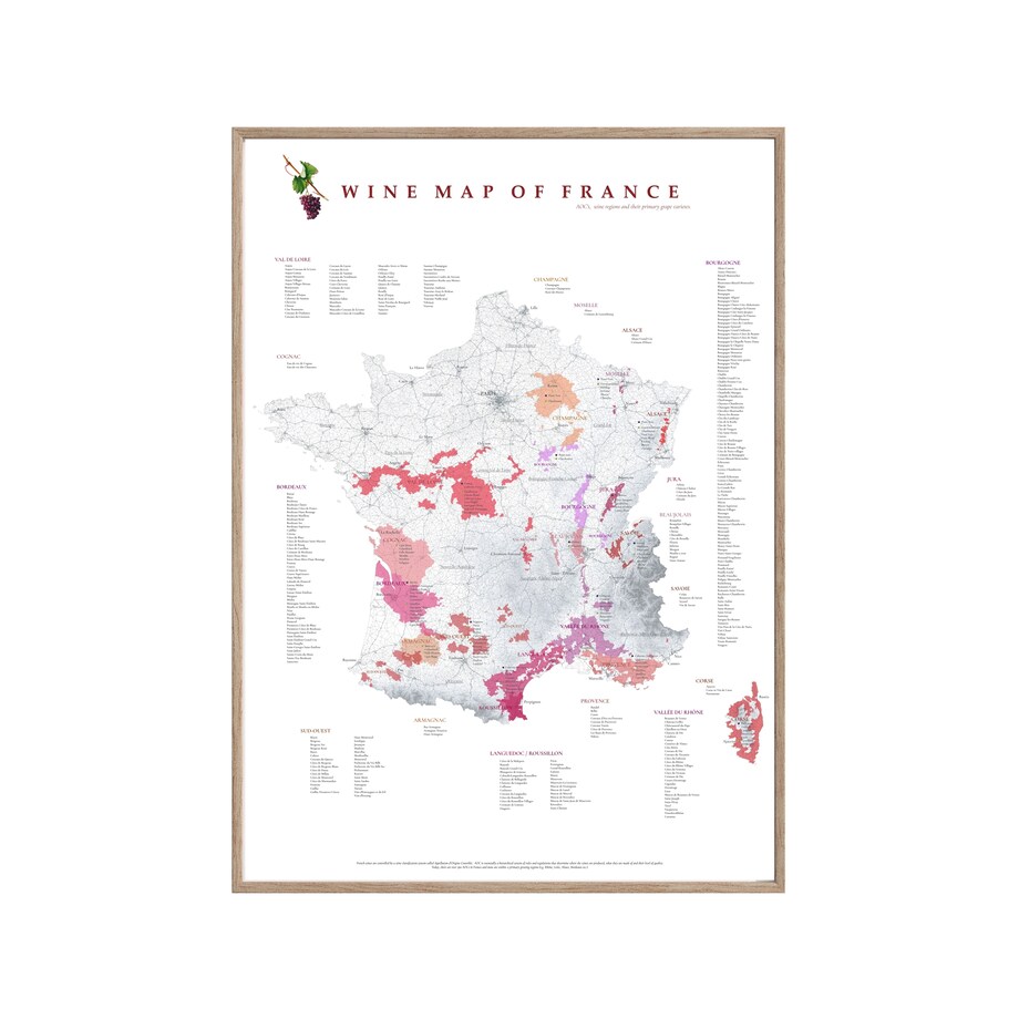 plakat FRANCJA regiony winiarskie 50x70cm