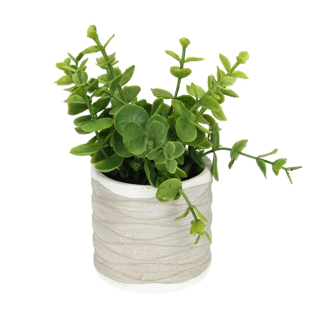 Dekoracja Eukaliptus 16cm, 8 x 8 x 16 cm