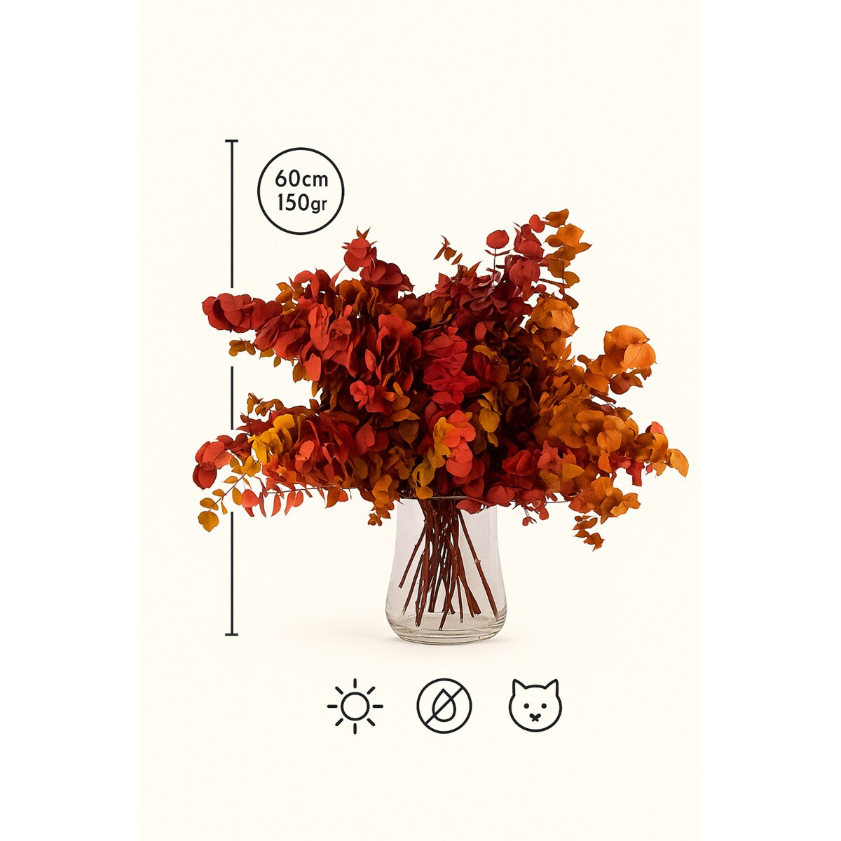 Zestaw eukaliptusów stabilizowanych – bukiet 150 g Wysokość ok. 60 cm