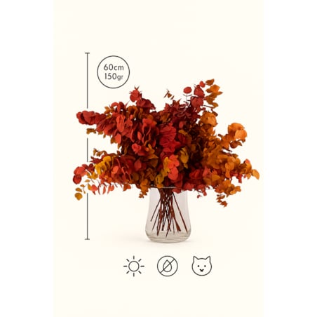 Zestaw eukaliptusów stabilizowanych – bukiet 150 g Wysokość ok. 60 cm