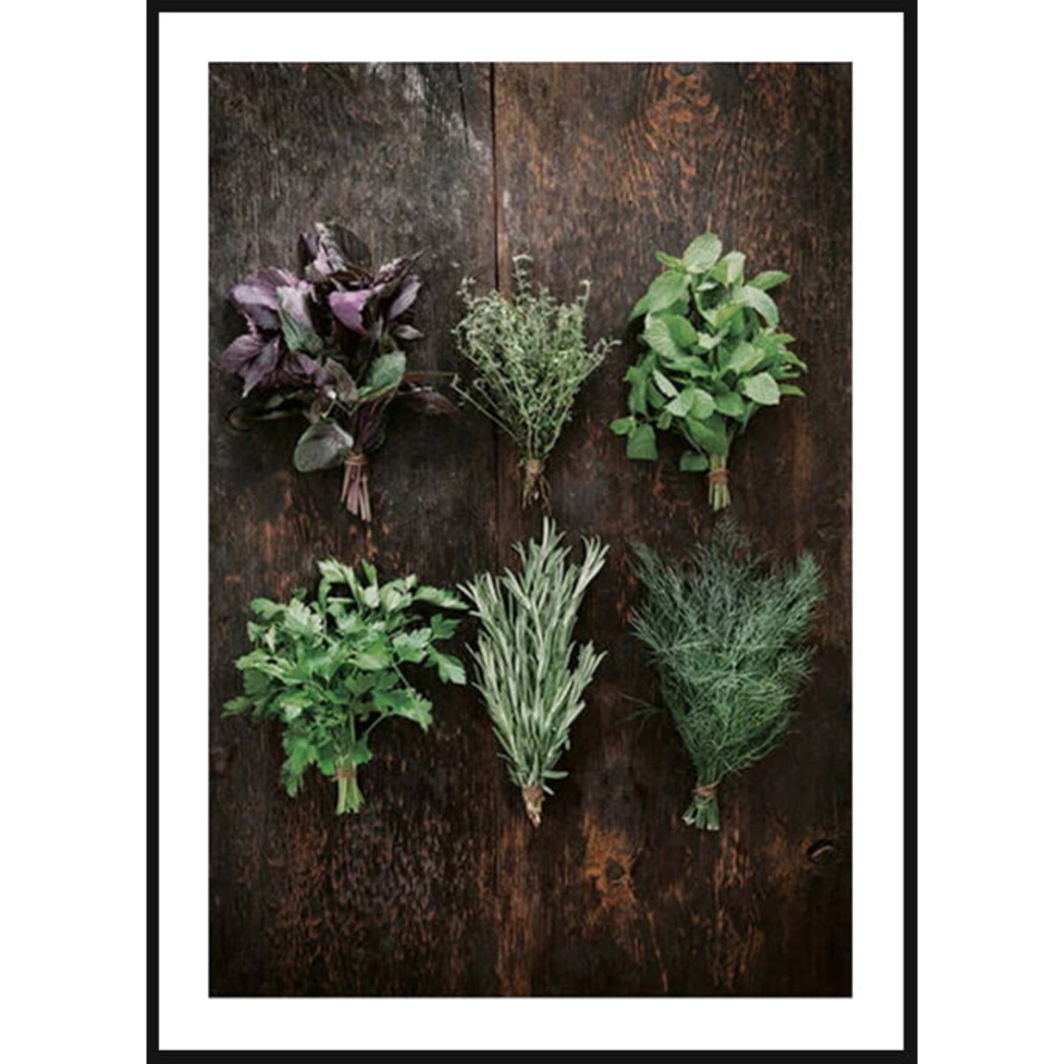 Poster Story, Plakat, Obraz - Świeże Zioła No1, wymiary 50 x 70 cm