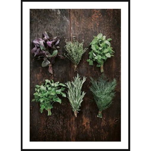 Poster Story, Plakat, Obraz - Świeże Zioła No1, wymiary 50 x 70 cm