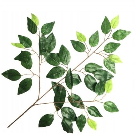 GAŁĄZKI LIŚCI FIKUS do stroiki bukiety dodatek
