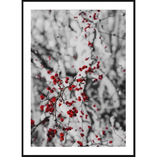 Poster Story, Plakat, Obraz - Zimowa Jarzębina, wymiary 70 x 100 cm