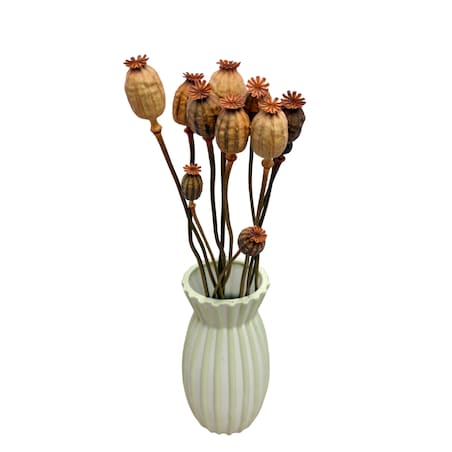 Suszone makówki łososiowe - suszone kwiaty 10-12 szt. - bukiet