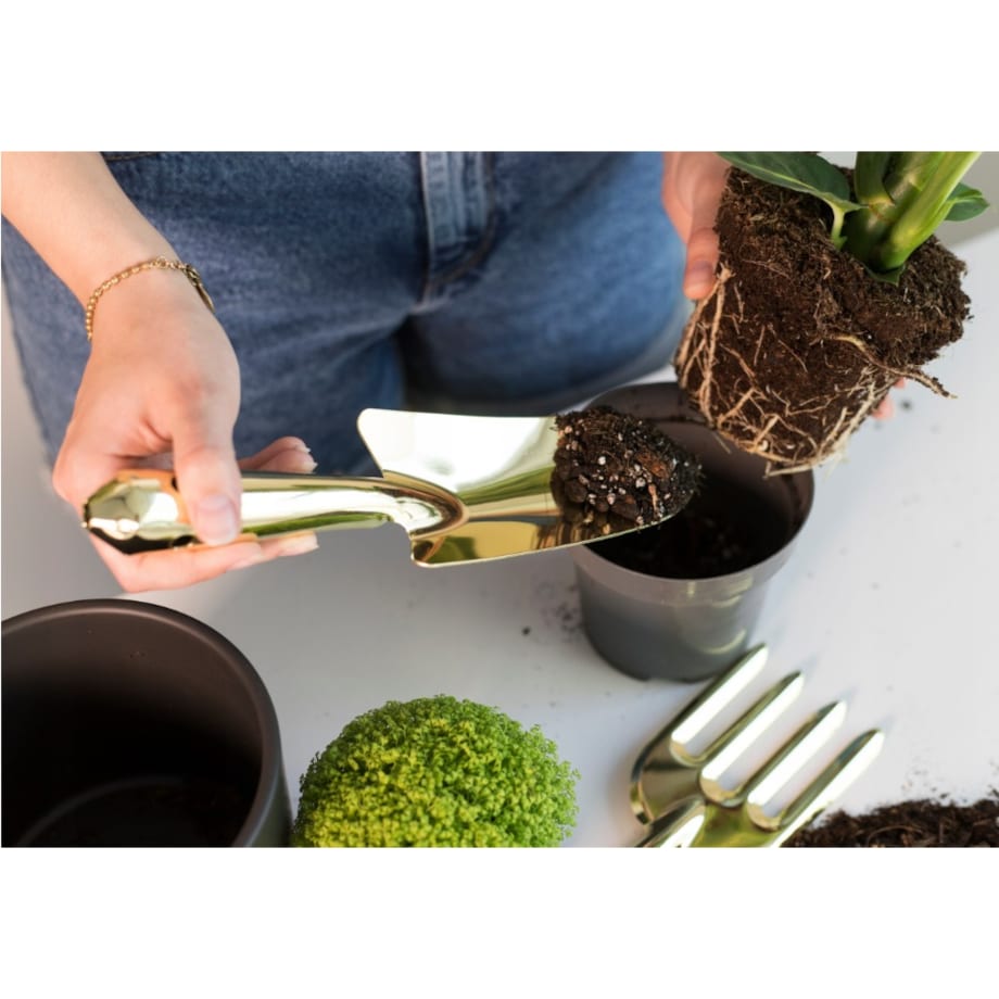 Złoty ZESTAW OGRODNICZY łopatka grabki PREMIUM narzędzia ogrodowe ozdobne na prezent ESCHERT DESIGN