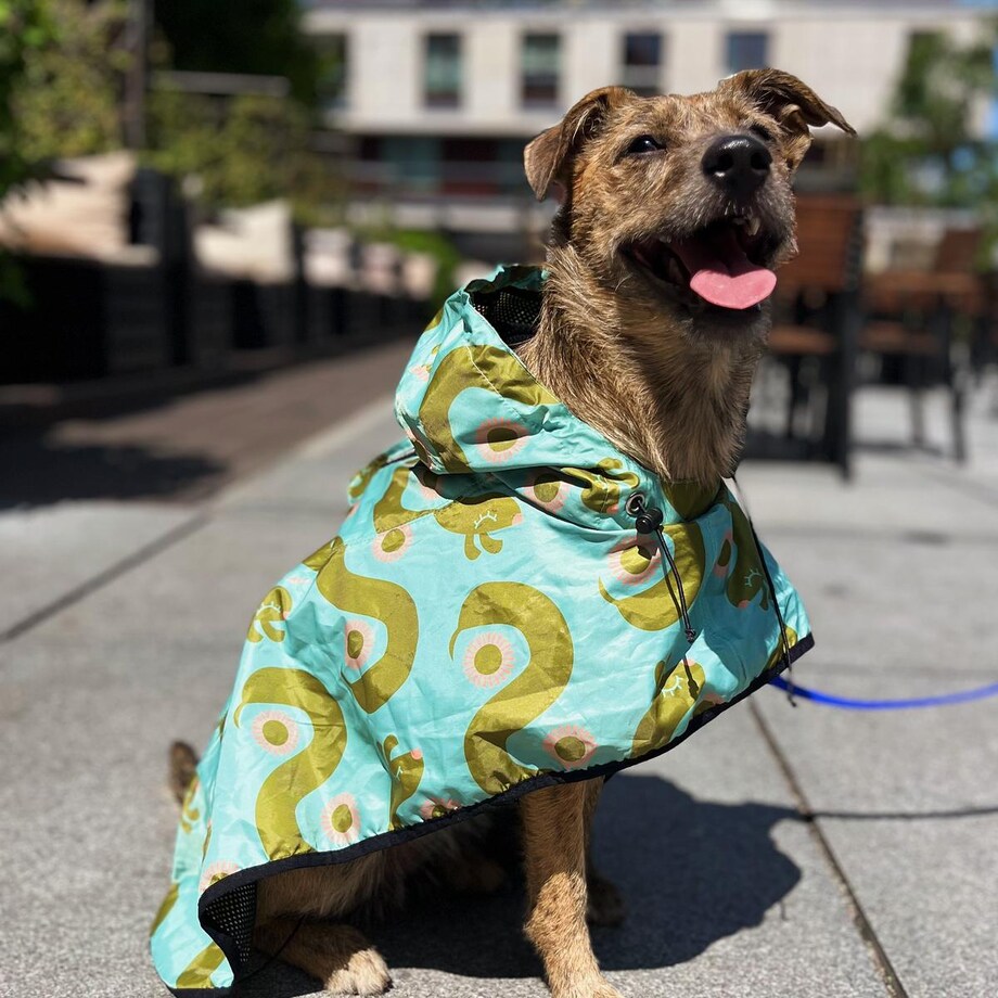 Płaszcz przeciwdeszczowy dla psa Piesss - Rozmiar: L