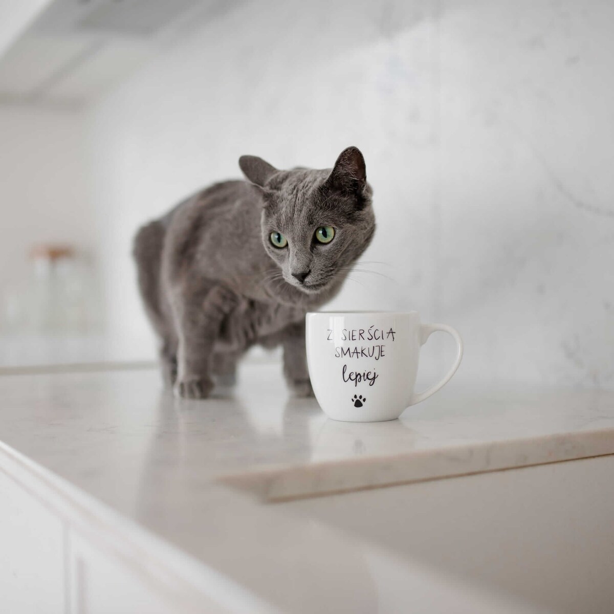 Biały Kubek Porcelanowy 300 ml - Napis Z Sierścią Smakuje Lepiej dla Miłośniczki Zwierząt na Urodziny