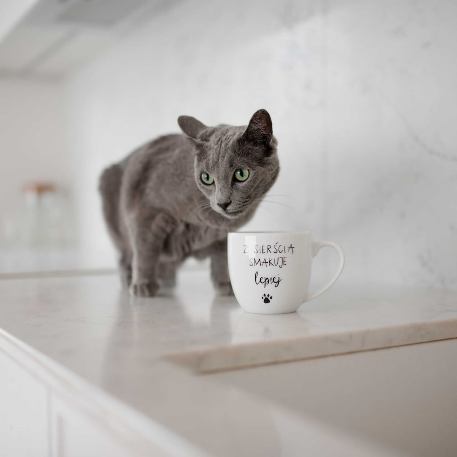 Biały Kubek Porcelanowy 300 ml - Napis Z Sierścią Smakuje Lepiej dla Miłośniczki Zwierząt na Urodziny