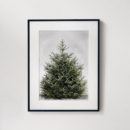 Plakat Jodła w Czarnej Ramce