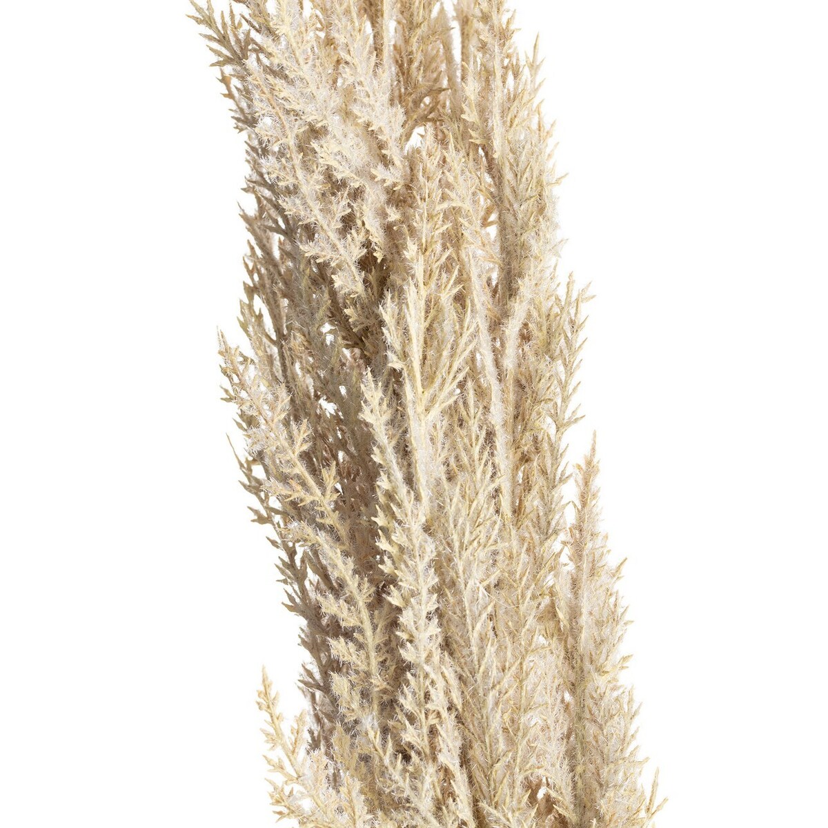 Gałązka Trawy Pampasowej 90cm cream, 8 x 8 x 90 cm