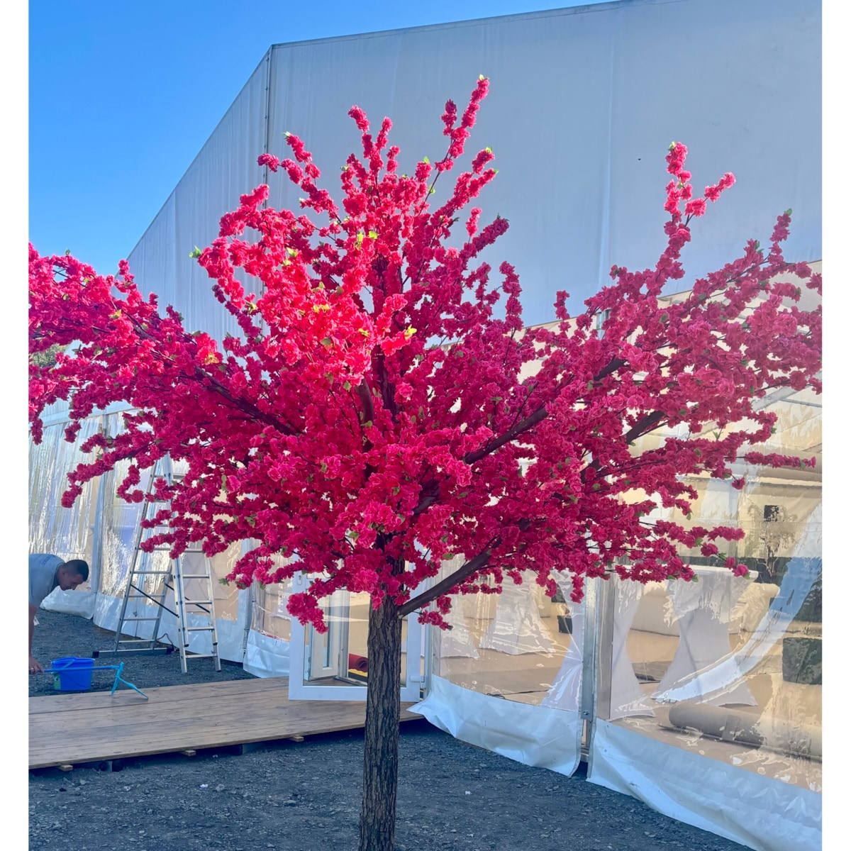 Drzewo kwitnącej wiśni 350 cm x 350 cm - olbrzymie