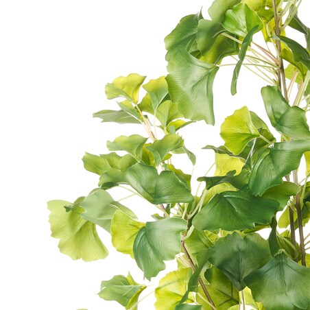 Sztuczna roślina GINKGO TREE 150 cm Zielony