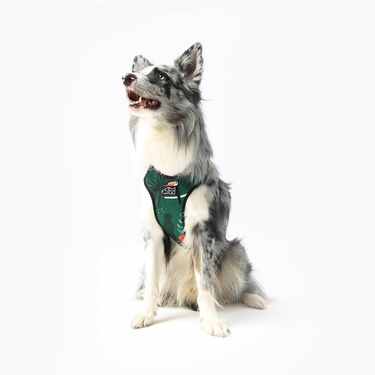 Szelki bezuciskowe dla psa lub kota "Welcome to the jungle" - Szerokość taśmy: 25mm, Rozmiar: L