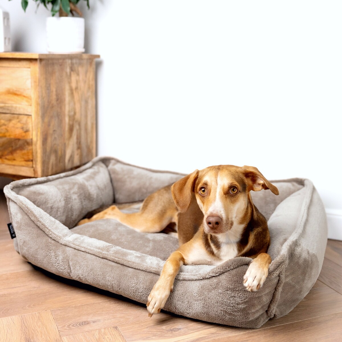 Ortopedyczne legowisko dla psa IRIS, 80x60 cm, Brąz