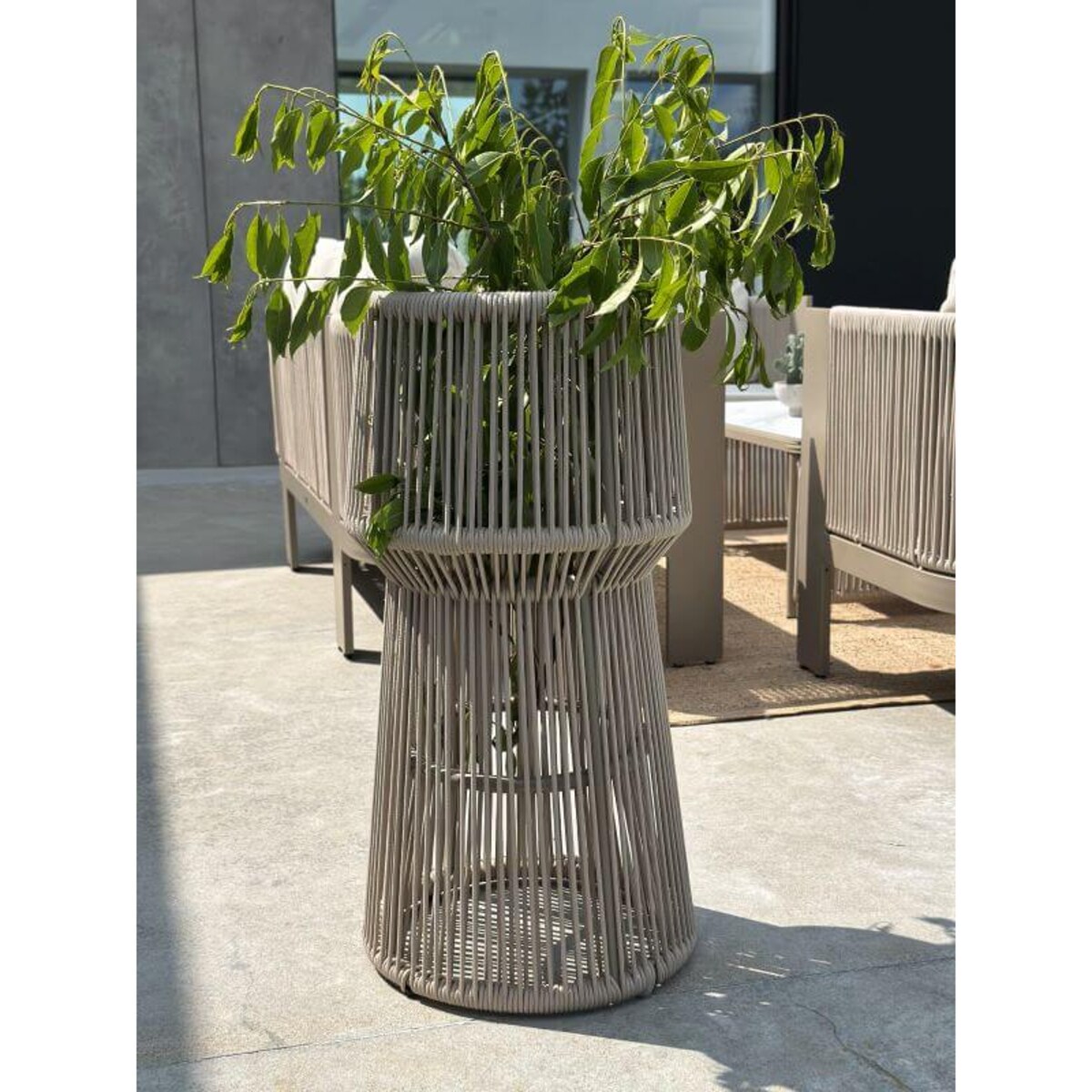 KWIETNIK TYZIANO SZAMPAŃSKI