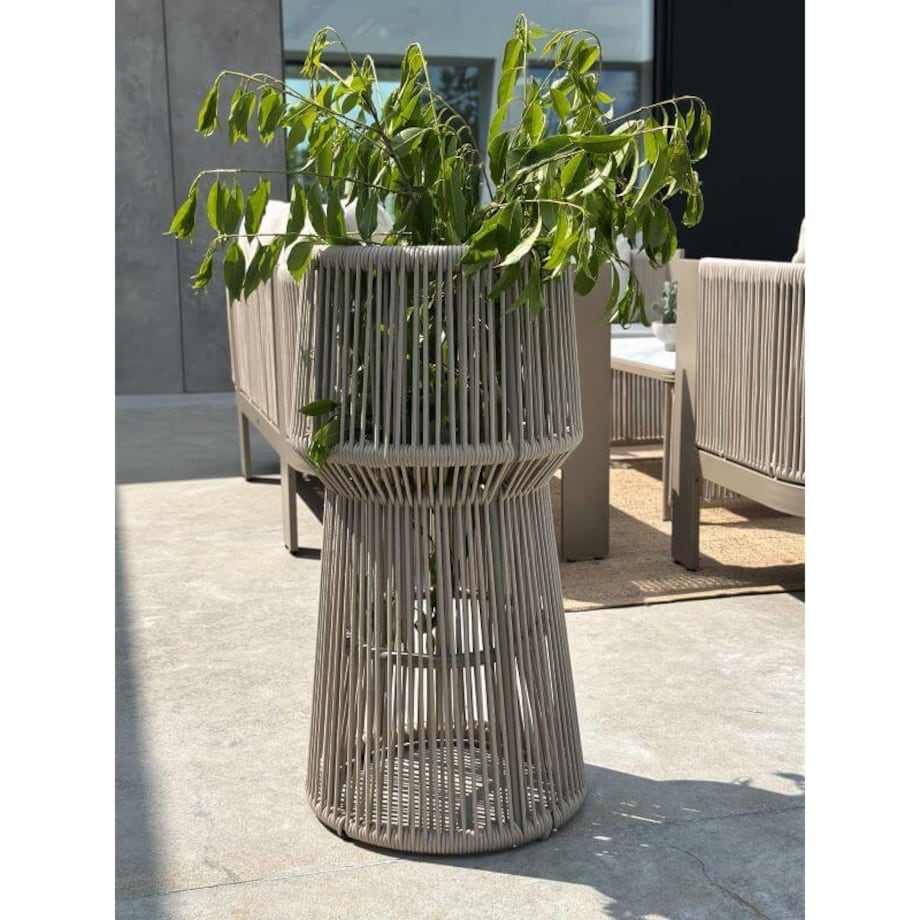 KWIETNIK TYZIANO SZAMPAŃSKI