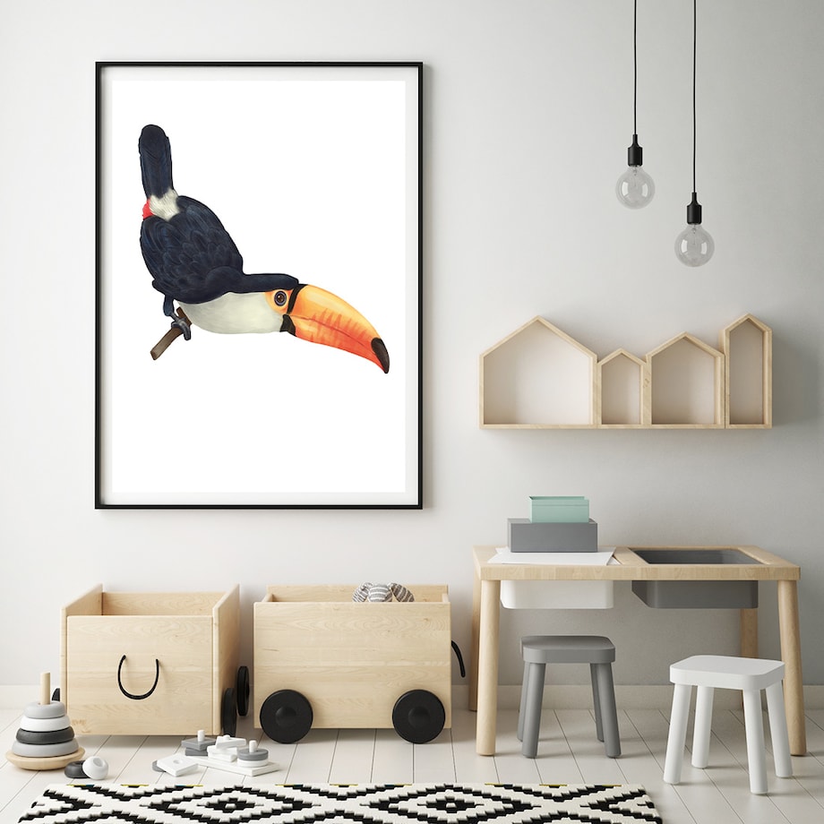 Plakat dla dzieci Tukan 50x70