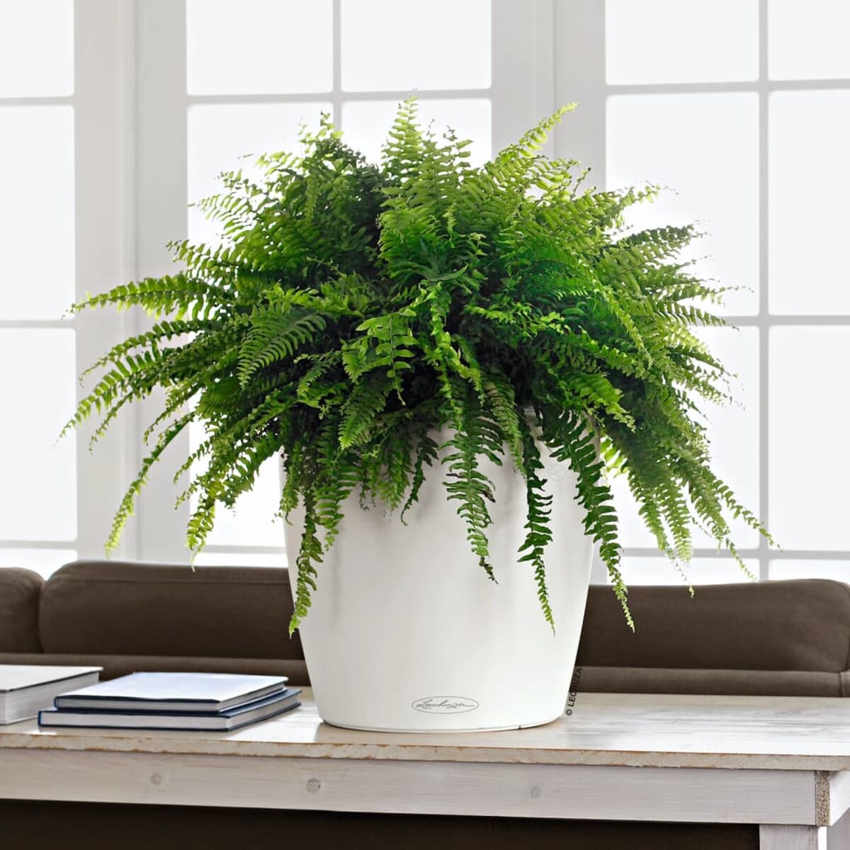 LECHUZA Donica Classico Color 35 ALL-IN-ONE, biała, 13210