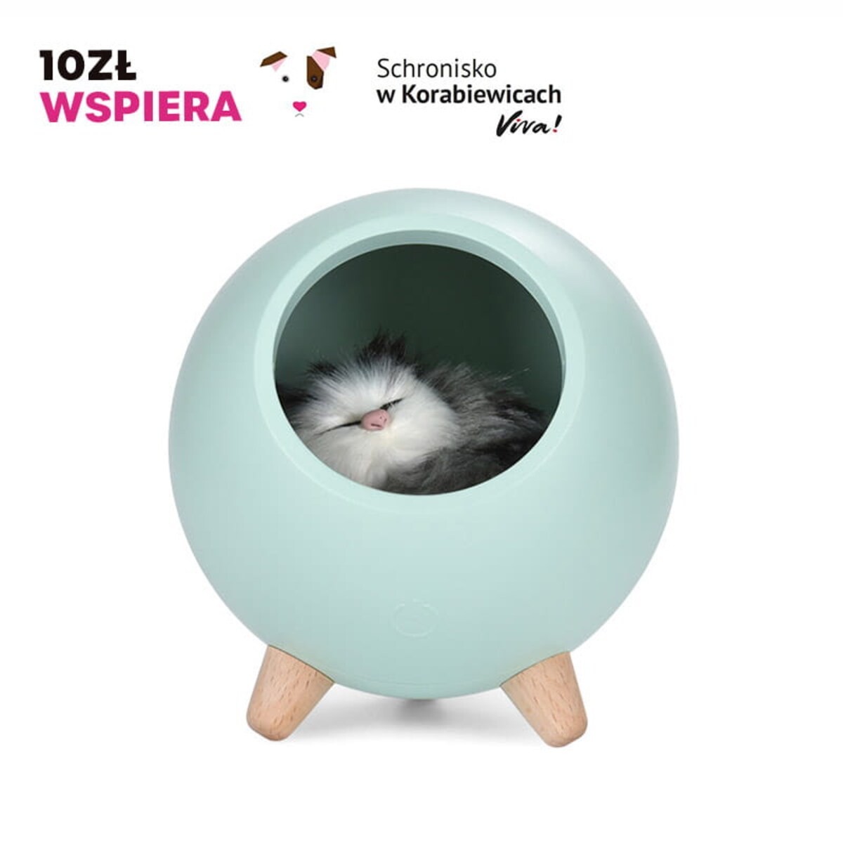 Lampka nocna z kotkiem seledynowa