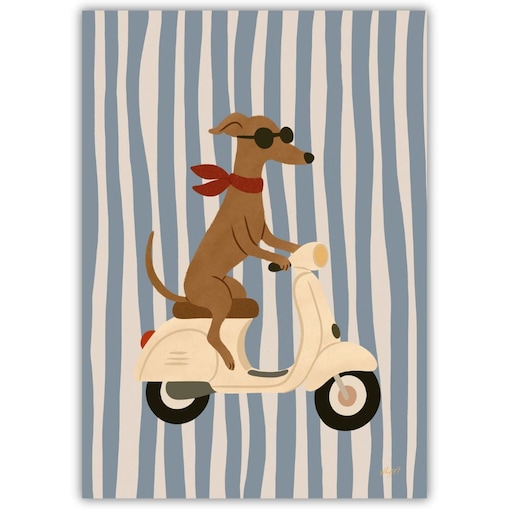 plakat pies na vespie 70x100