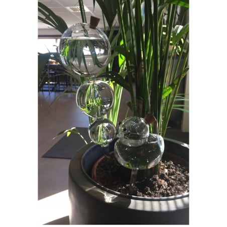 KULA NAWADNIAJĄCA sowa SZKLANA nawadniacz do doniczki kwiatów 220ml