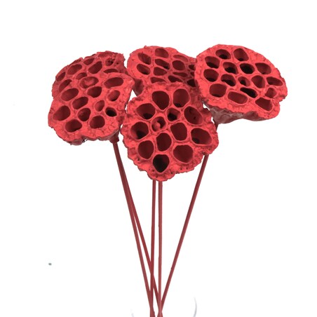 Kwiat Lotosu czerwony 3szt.