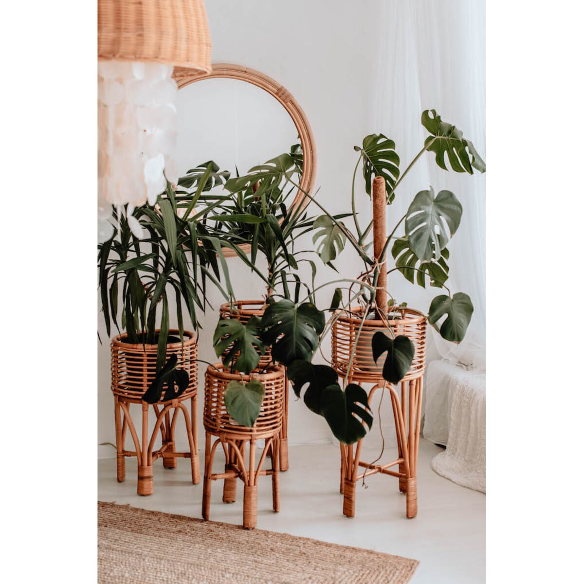 KWIETNIK POLLIE XL KARMEL