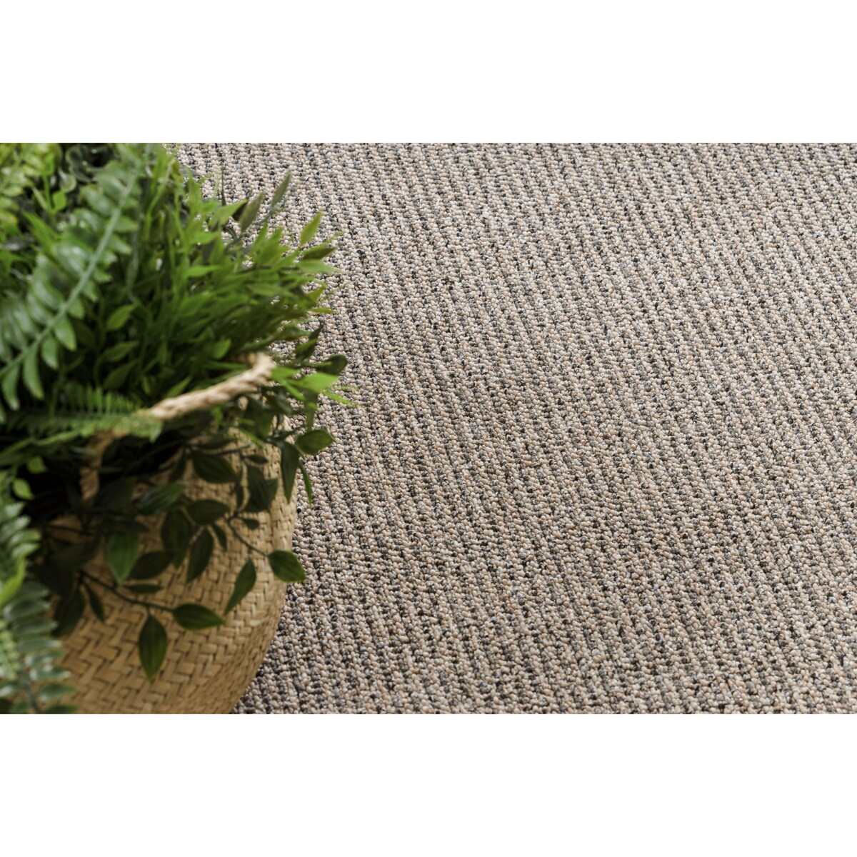 DYWAN KOŁO PRIUS 39 beż koło 200 cm