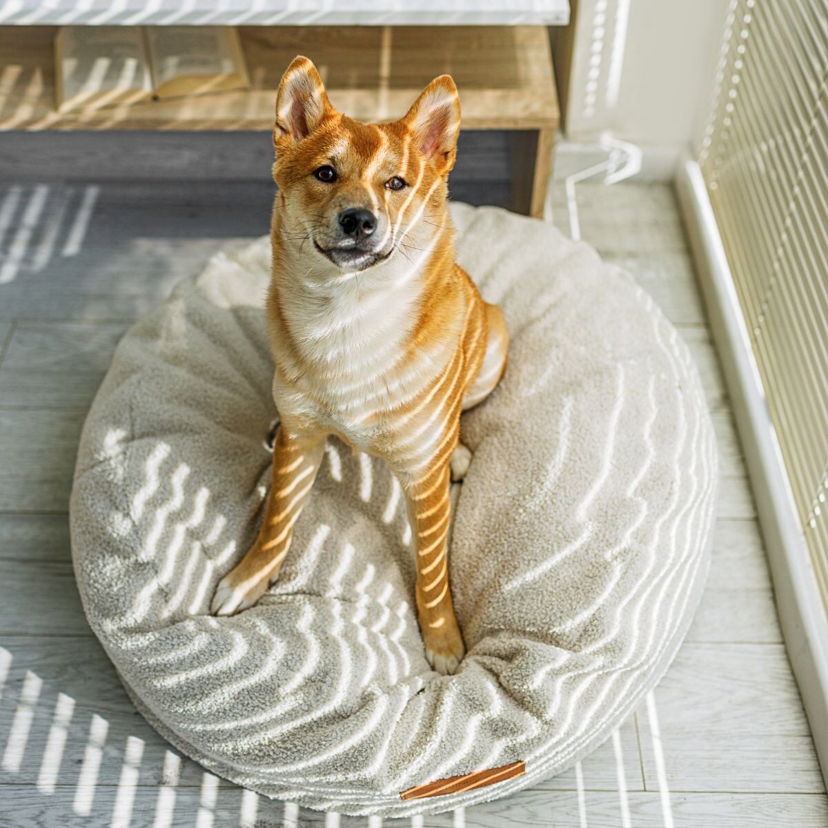 Animood Pufa Coco rozmiar: uniwersalny, kolor: jasny beż, materiał:boucle