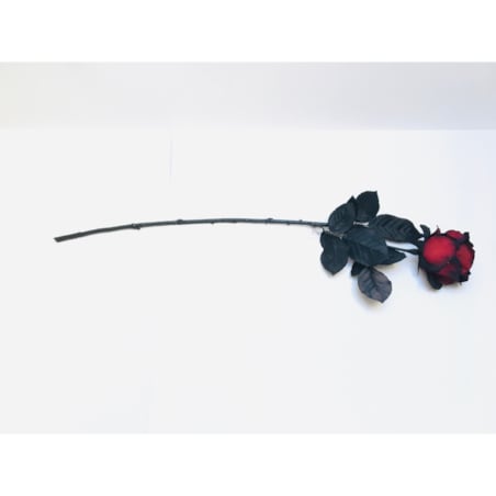 ŁODYGA RÓŻA Z BROKATEM czerwono czarna liść do flakonu wazonu święta 65cm