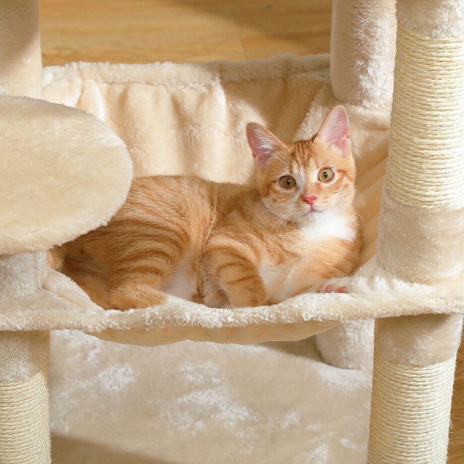 DRAPAK DLA KOTÓW Beżowy P70371