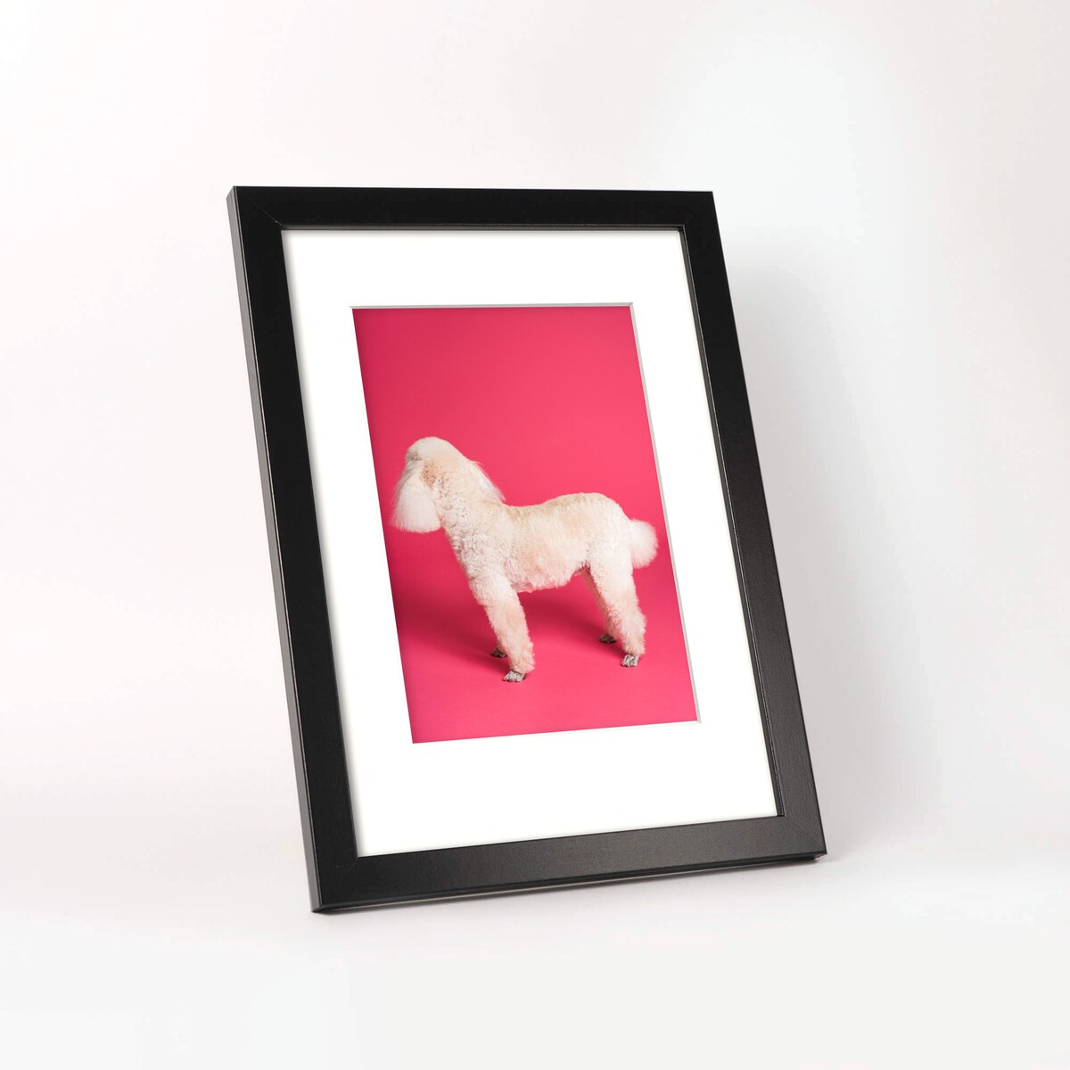 Ramka na zdjęcia 21x29.7 cm z passe partout czarna ramka z okienkiem passe partout na zdjęcie 15x21 cm FRAMAI®