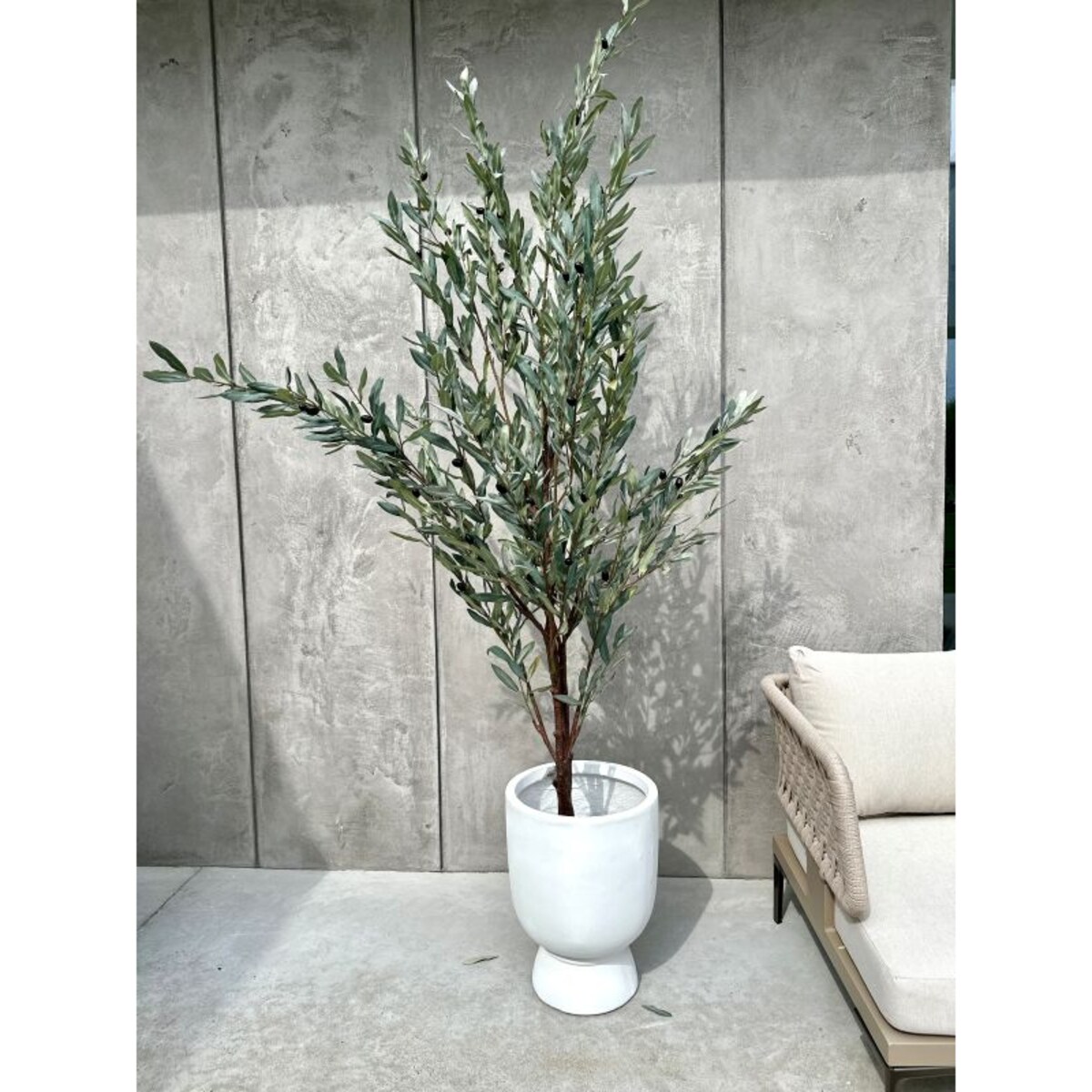 ZESTAW DRZEWEK OLIWNYCH SZARYCH