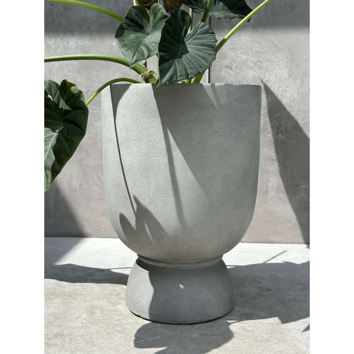 DONICZKA ODESSE LUXE M