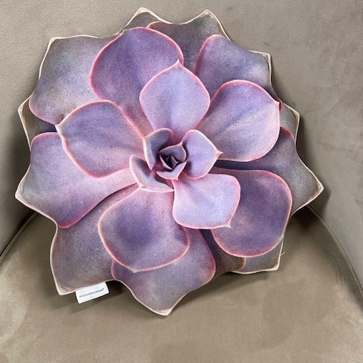 Poduszka mały sukulent Eszeweria Perle von Nurnberg