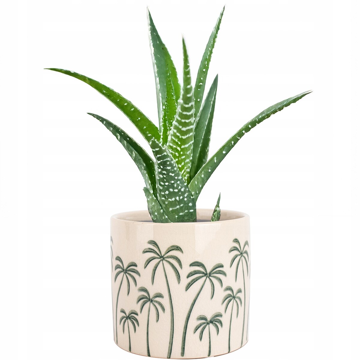 DONICZKA BEŻOWA PALMY CERAMICZNA 14cm osłonka do salonu domu palma na taras