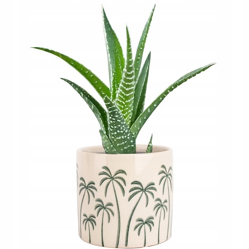 DONICZKA BEŻOWA PALMY CERAMICZNA 14cm osłonka do salonu domu palma na taras