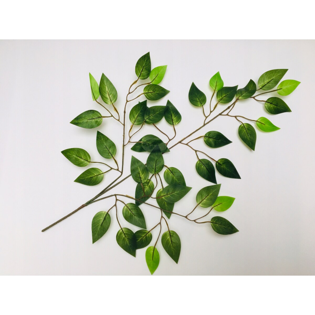 GAŁĄZKA FIKUS do stroiki bukiety dodatek LIŚĆ GUMOWANE DROBNE listki święta