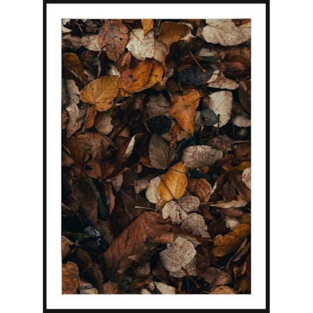 Poster Story, Plakat, Obraz - Jesienne Liście, wymiary 50 x 70 cm