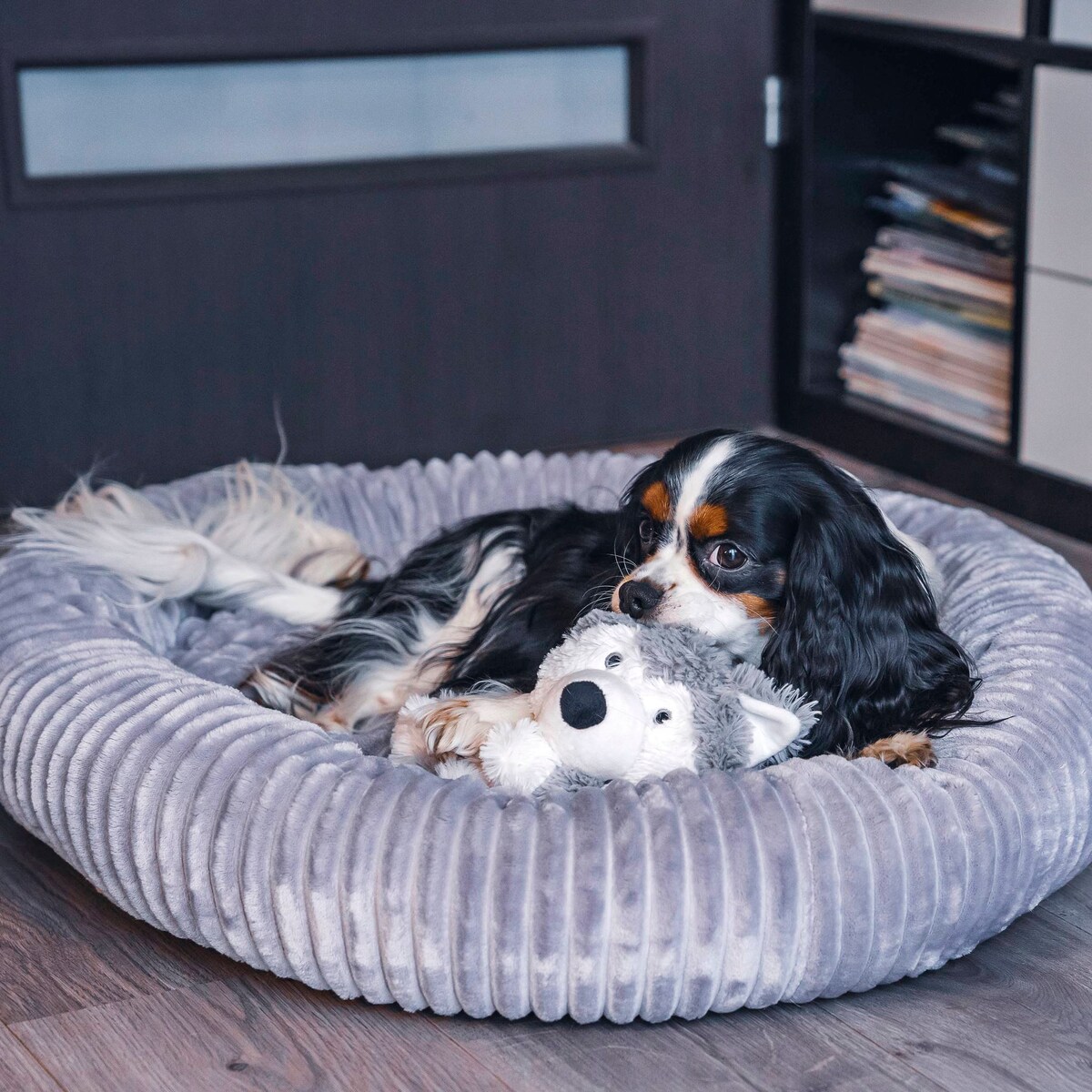 Urocze legowisko dla psa lub kota LUNA, 55x50 cm, Grafit