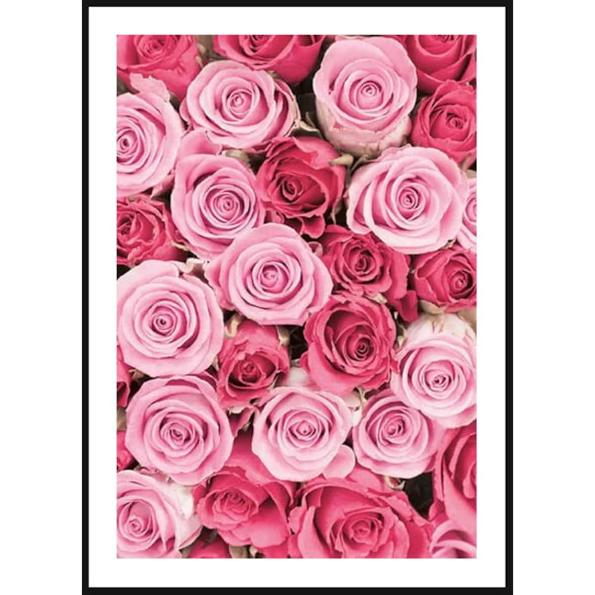 Poster Story, Plakat, Obraz - Dywan z Różowych Piwoni, wymiary 70 x 100 cm