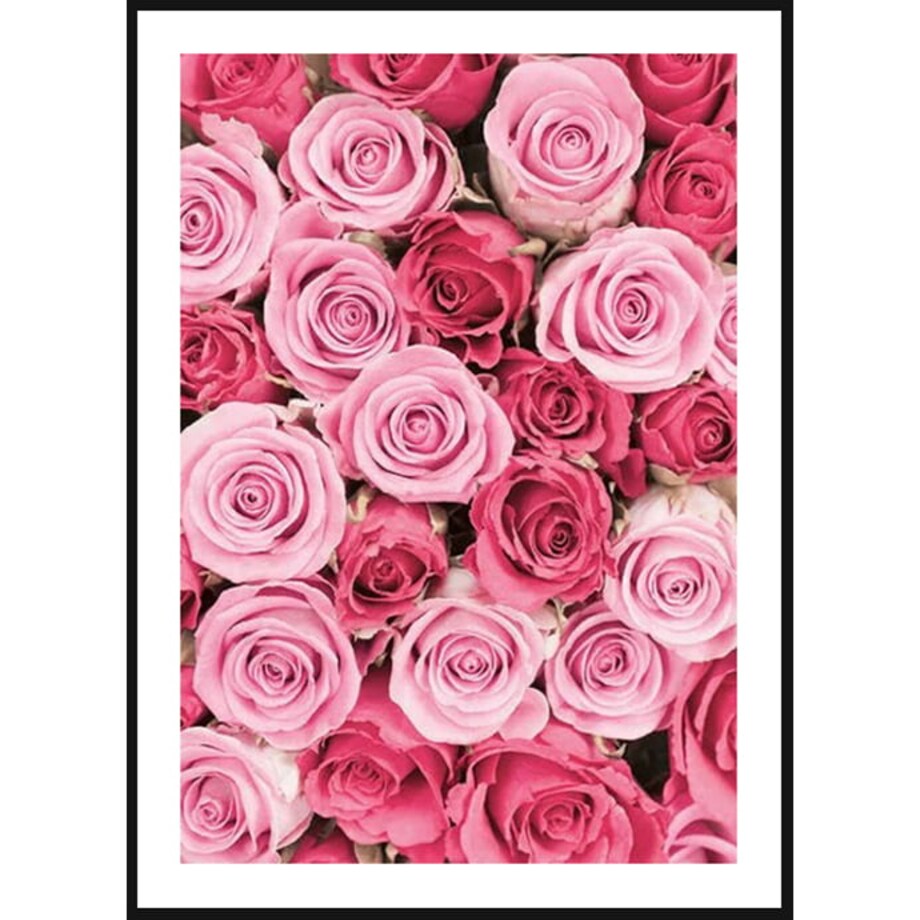 Poster Story, Plakat, Obraz - Dywan z Różowych Piwoni, wymiary 70 x 100 cm