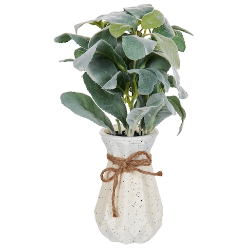 Sztuczna roślina PEPEROMIA ARGYREIA 30 cm Zielony