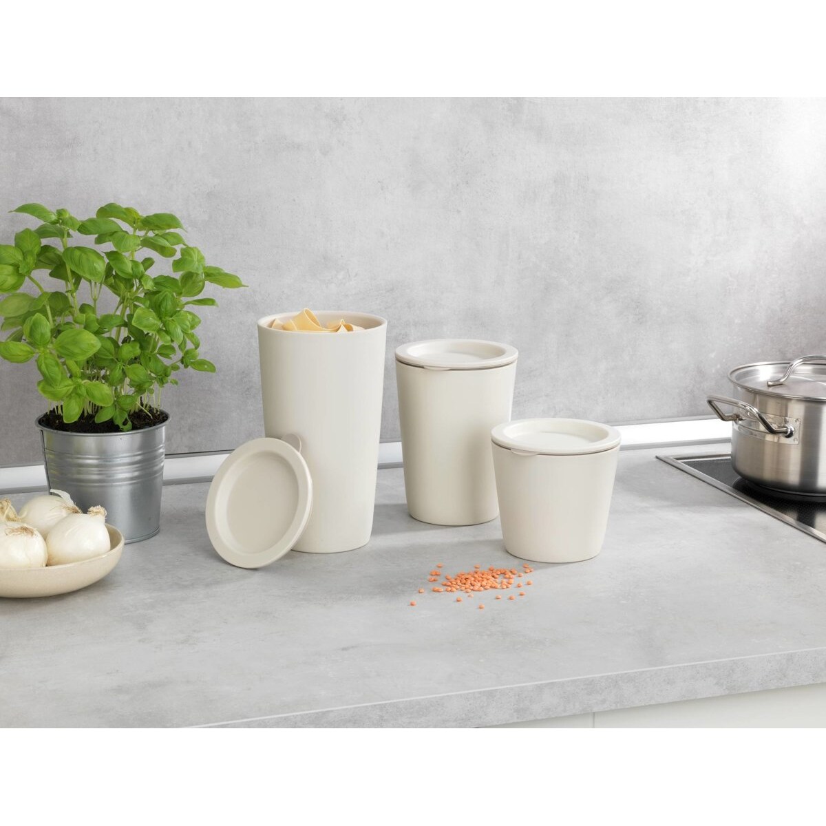 Pojemnik kuchenny PRAIA, WENKO