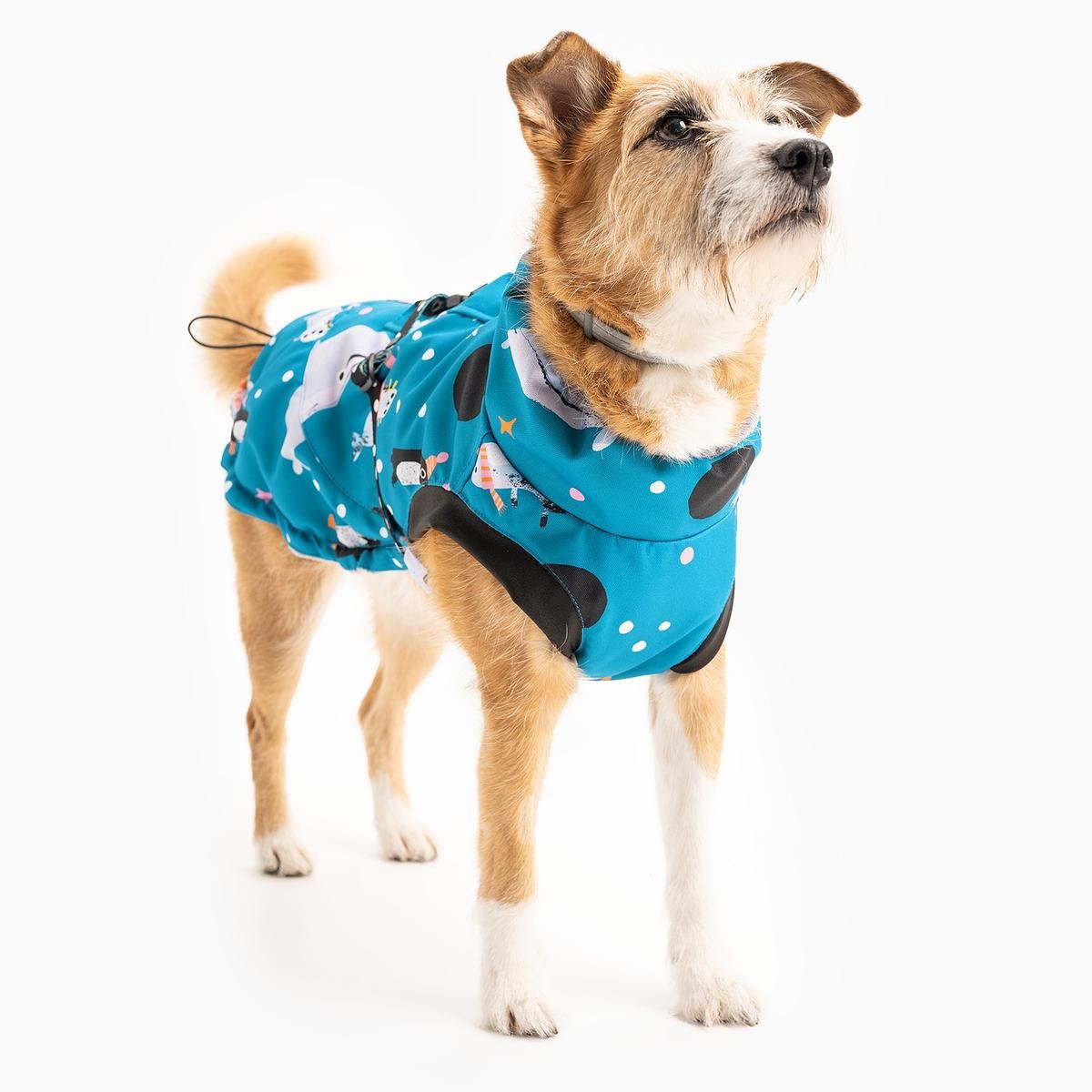 Kurtka dla psa "Łot de fok?" - Rozmiar: M