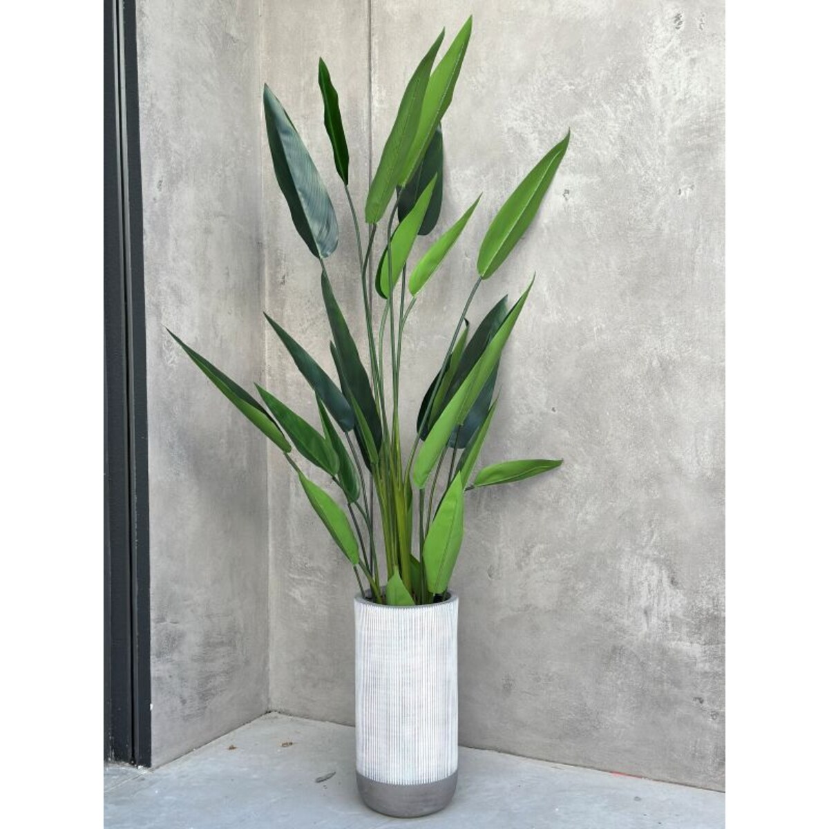 KWIAT DUŻA STRELICJA KRÓLEWSKA 150 cm