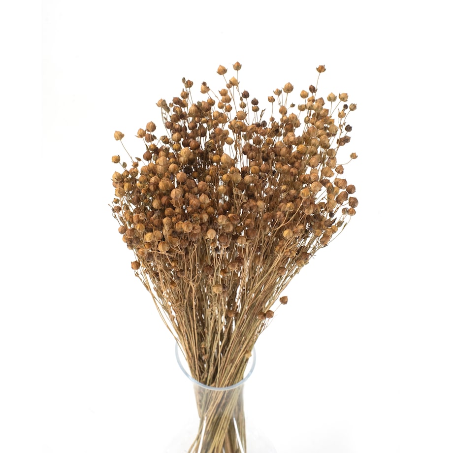 Suszony Len Naturalny