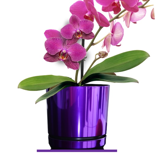21 cm wzór FIOLETOWY BŁYSZCZĄCY Doniczka z podstawką glamour wysoki połysk metaliczny wrzosy lawenda krokusy storczyk orchidea