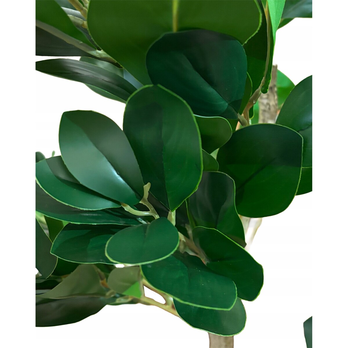SZTUCZNE DRZEWKO FIKUS DRZEWO 180cm FICUS ROŚLINA JAK ŻYWE REALISTYCZNE